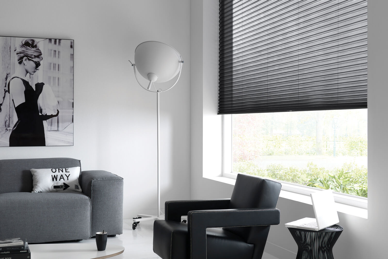 Sunway Cellular Pleated Blinds