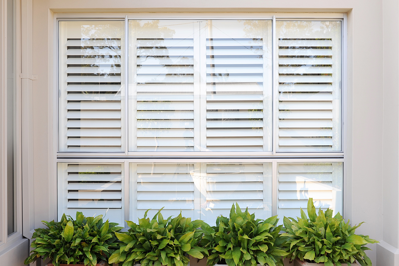 Plantation Shutters